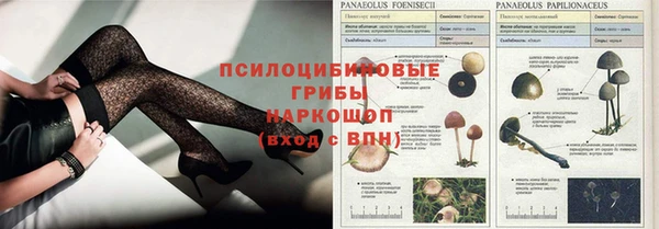 каннабис Лабытнанги