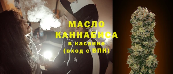 Альфа ПВП Лагань