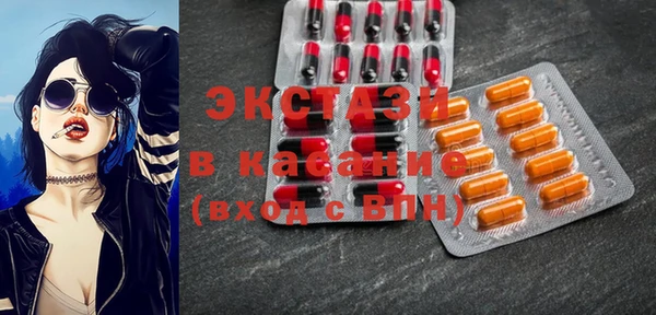 гидра Богородицк
