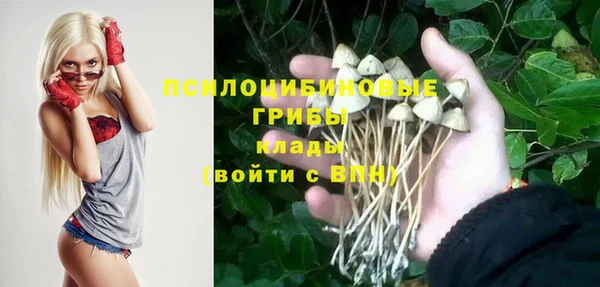 Альфа ПВП Лагань