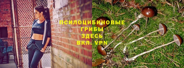 jwh Липки