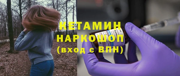 Альфа ПВП Лагань