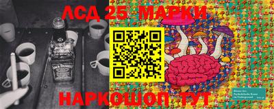 СК Апшеронск