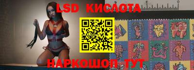 шишки Гай