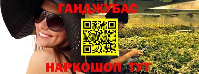 шишки Гай