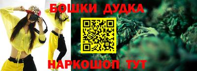 шишки Гай
