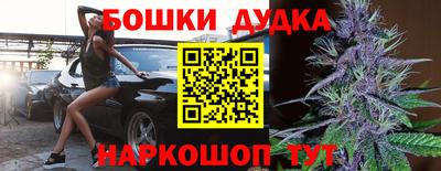 шишки Гай