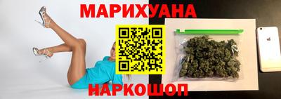 шишки Гай