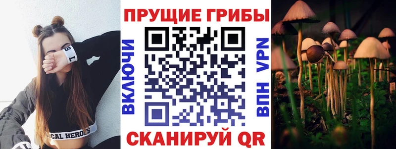 Галлюциногенные грибы Psilocybe  Челябинск 