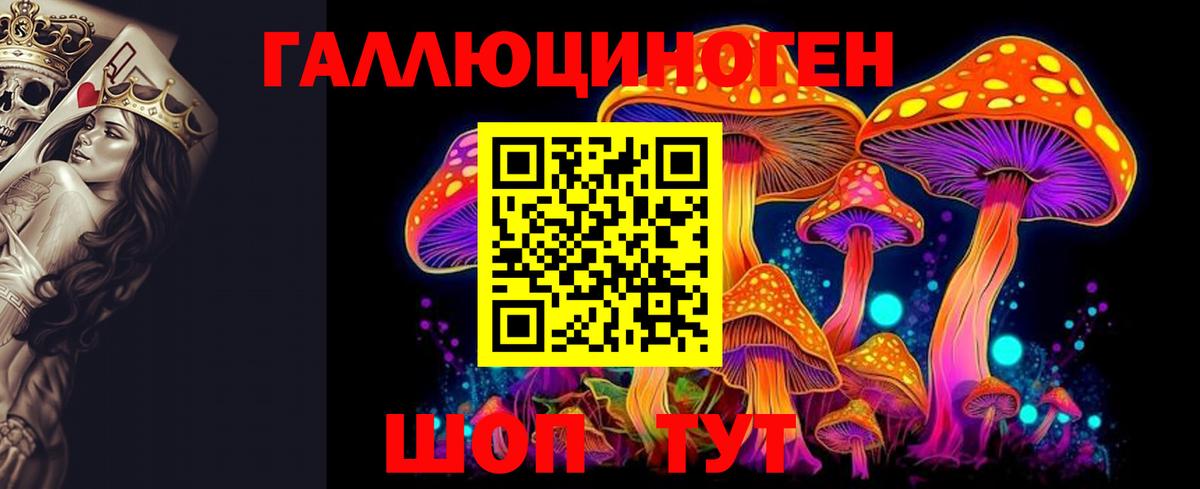 Челябинск  Псилоцибиновые грибы прущие грибы  Вход с VPN 