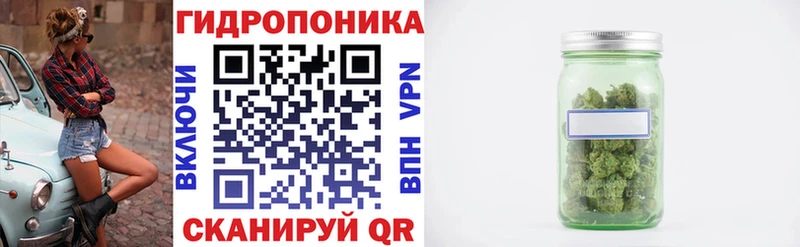 Бошки Шишки план  где можно купить наркотик  Челябинск 